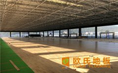 一個籃球館需要多少錢